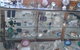 Beechworth Stoneage Gems - thumb 4