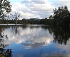 Wonga Wetlands - Accommodation Nelson Bay 1