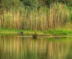 Wonga Wetlands - Accommodation Nelson Bay 2