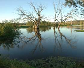 Wonga Wetlands - Accommodation Nelson Bay 4