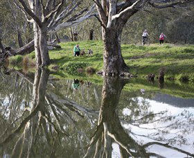 Wagirra Trail And Yindyamarra Sculpture Walk - Accommodation Nelson Bay 1