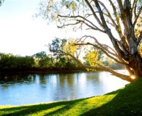 Albury - Murray River Precinct - Accommodation Nelson Bay 0