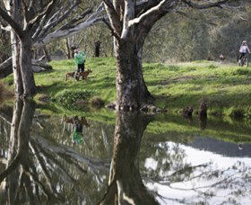 Albury - Murray River Precinct - Accommodation Nelson Bay 3