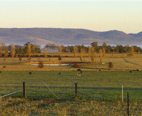 Holbrook NSW Accommodation Nelson Bay