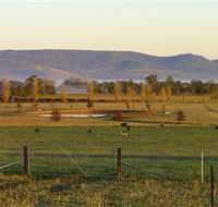 Holbrook Landcare Self-Drive Eco Tour - Accommodation Nelson Bay