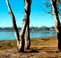 Lake Broadwater Conservation Park - Accommodation Nelson Bay