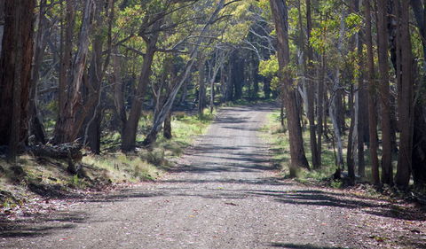 Coolah Tops National Park - Accommodation Nelson Bay 1