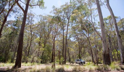 Coolah Tops National Park - Accommodation Nelson Bay 0