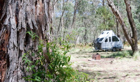 Coolah Tops National Park - Accommodation Nelson Bay 2
