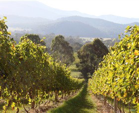 Pizzini Wines King Valley - Accommodation Nelson Bay 3