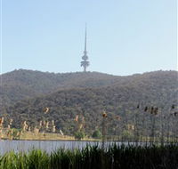 Black Mountain Peninsula - Accommodation Nelson Bay