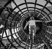 Pod Playground at the National Arboretum - Accommodation Nelson Bay