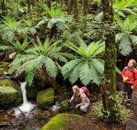 Baw Baw National Park - Accommodation Nelson Bay
