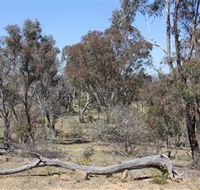 Remembrance Nature Park - Accommodation Nelson Bay