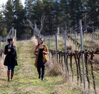 Mount Majura Vineyard - Accommodation Nelson Bay
