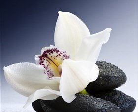 H2O Spa - Nelson Bay Accommodation.com 1