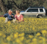 Coalseam Conservation Park - Accommodation Nelson Bay