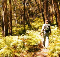 Federal Pass - Accommodation Nelson Bay