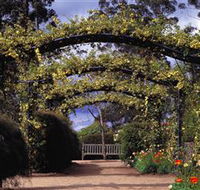 Blue Mountains Botanic Garden - Accommodation Nelson Bay
