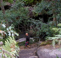 Leura Cascades Fern Bower - Accommodation Nelson Bay