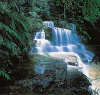 Leura Cascades - Accommodation Nelson Bay