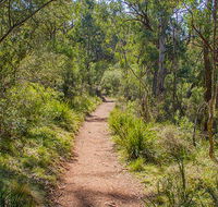 Mares Forest Creek walking track - Accommodation Nelson Bay