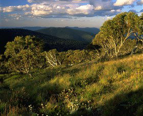 Namadgi National Park And Visitors Centre - Accommodation Nelson Bay 2