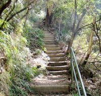 Nature track - Accommodation Nelson Bay