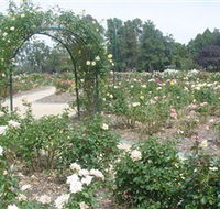 Victoria Park Rose Garden - Accommodation Nelson Bay