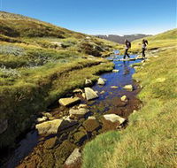 Australian Alps Walking Track - Accommodation Nelson Bay
