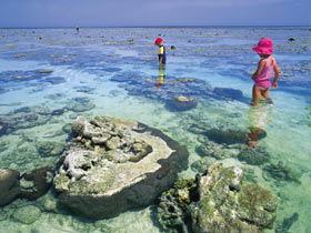 Southern Great Barrier Reef - Accommodation Nelson Bay 1