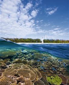 Southern Great Barrier Reef - Accommodation Nelson Bay 2