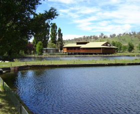 Gaden Trout Hatchery - Accommodation Nelson Bay 0