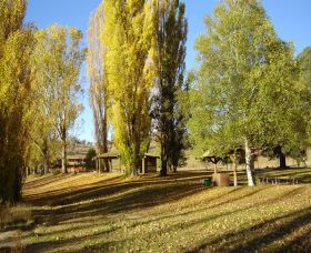 Gaden Trout Hatchery - Accommodation Nelson Bay 1