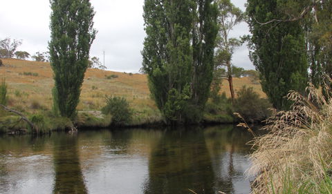 Thredbo River Picnic Area - Accommodation Nelson Bay 3