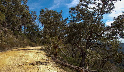 Parr State Conservation Area - Accommodation Nelson Bay 0