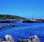 King Island Dairies - Accommodation Nelson Bay