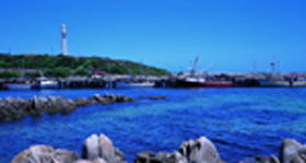 King Island Dairies - Accommodation Nelson Bay 0