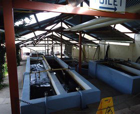 Eucumbene Trout Farm - Accommodation Nelson Bay 5