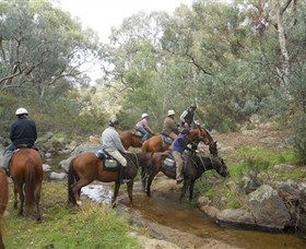 Snowy Wilderness - Accommodation Nelson Bay 5