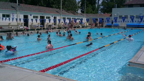 Manuka Pool - Accommodation Nelson Bay 3