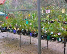 Glenbrook Native Plant Reserve And Nursery - Accommodation Nelson Bay 3