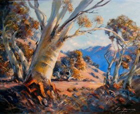 Snowy Mountains NSW Accommodation Nelson Bay