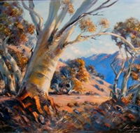 Kunama Snowy Mountains Centre for the Arts - Accommodation Nelson Bay
