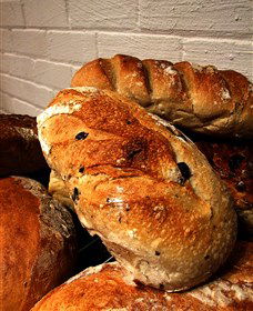 Bakehouse On Park - Accommodation Nelson Bay 3