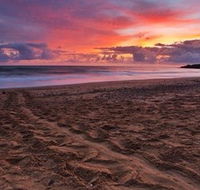 Mon Repos Beach - Accommodation Nelson Bay