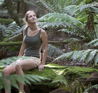 Barrington Tops National Park - Honeysuckle Forest Track - Accommodation Nelson Bay