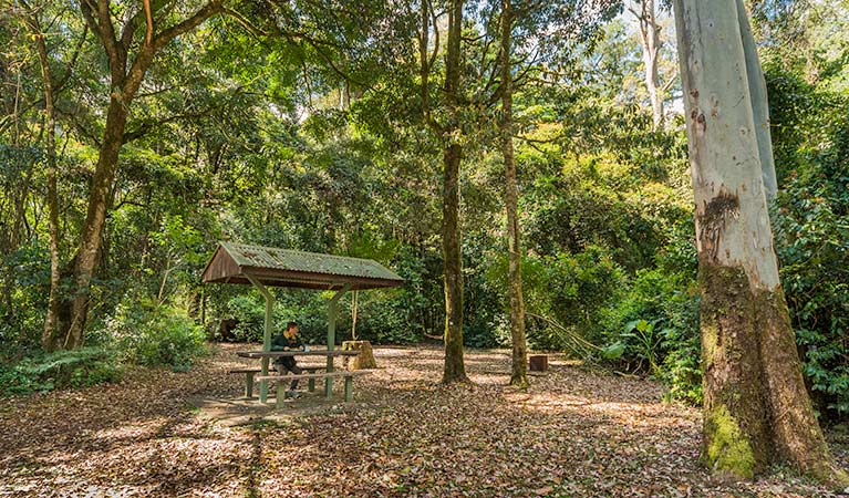 Upper Tooloom ACT Accommodation Nelson Bay