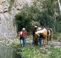 Yarramba Horse Riding - Accommodation Nelson Bay