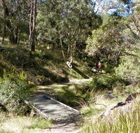 Wollomombi walking track - Nelsons Bay Accommodation